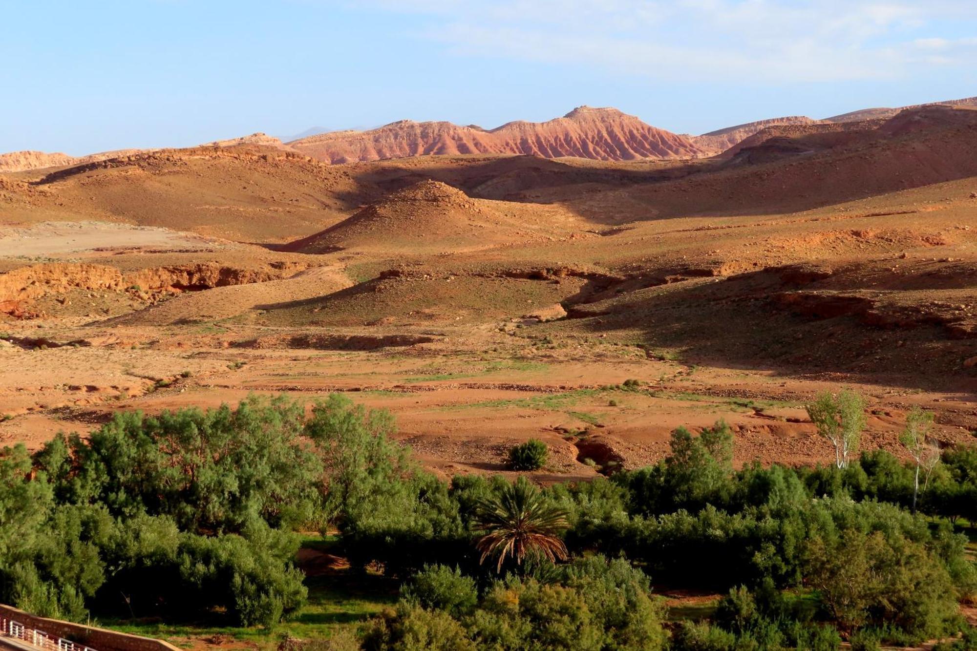 Tigmi Hamid Decouverte Des Traditions Et De La Culture Berbere Ait Ben Haddou Bagian luar foto